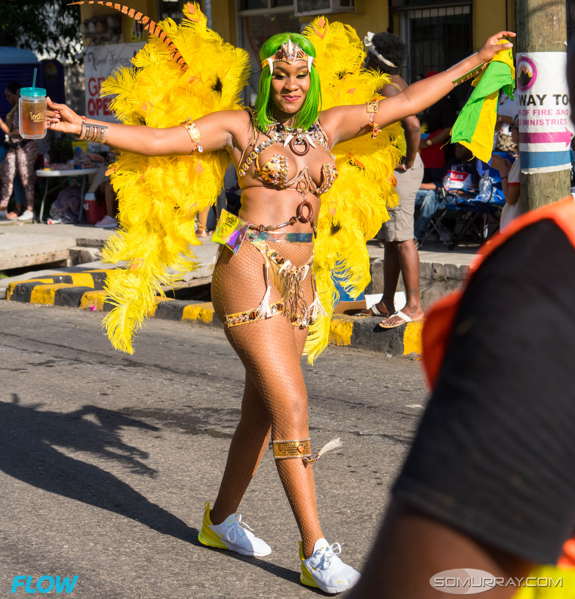 Antigua 2019 Carnival 130